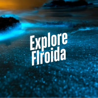 Florida's Enchanting Glow: Exploring the Bioluminescence Phenomenon